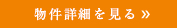 詳細を見る