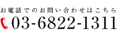 0368221311
